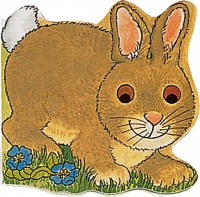 Cover image for Pocket Bunny