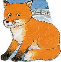 Cover image for Pocket Fox