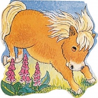 Cover image for Pocket Pony