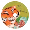 Cover image for The Tiger and the Wise Man