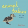 Cover image for Animal Babies in the river!